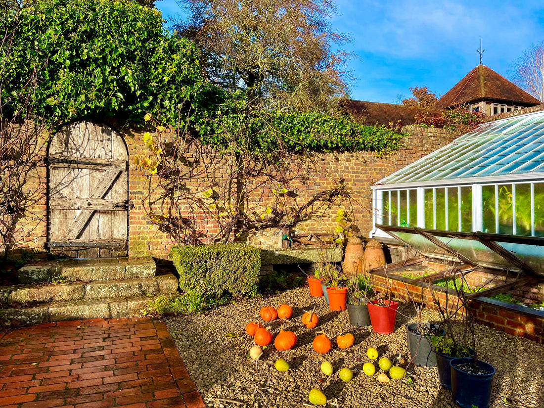 Get ready for the chill this October - Gardenscape Tips