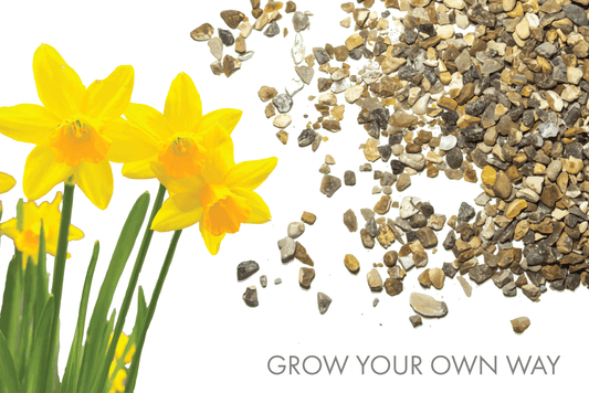 Grow Your Own Way: Spring Into March Gardening - Gardenscapedirect