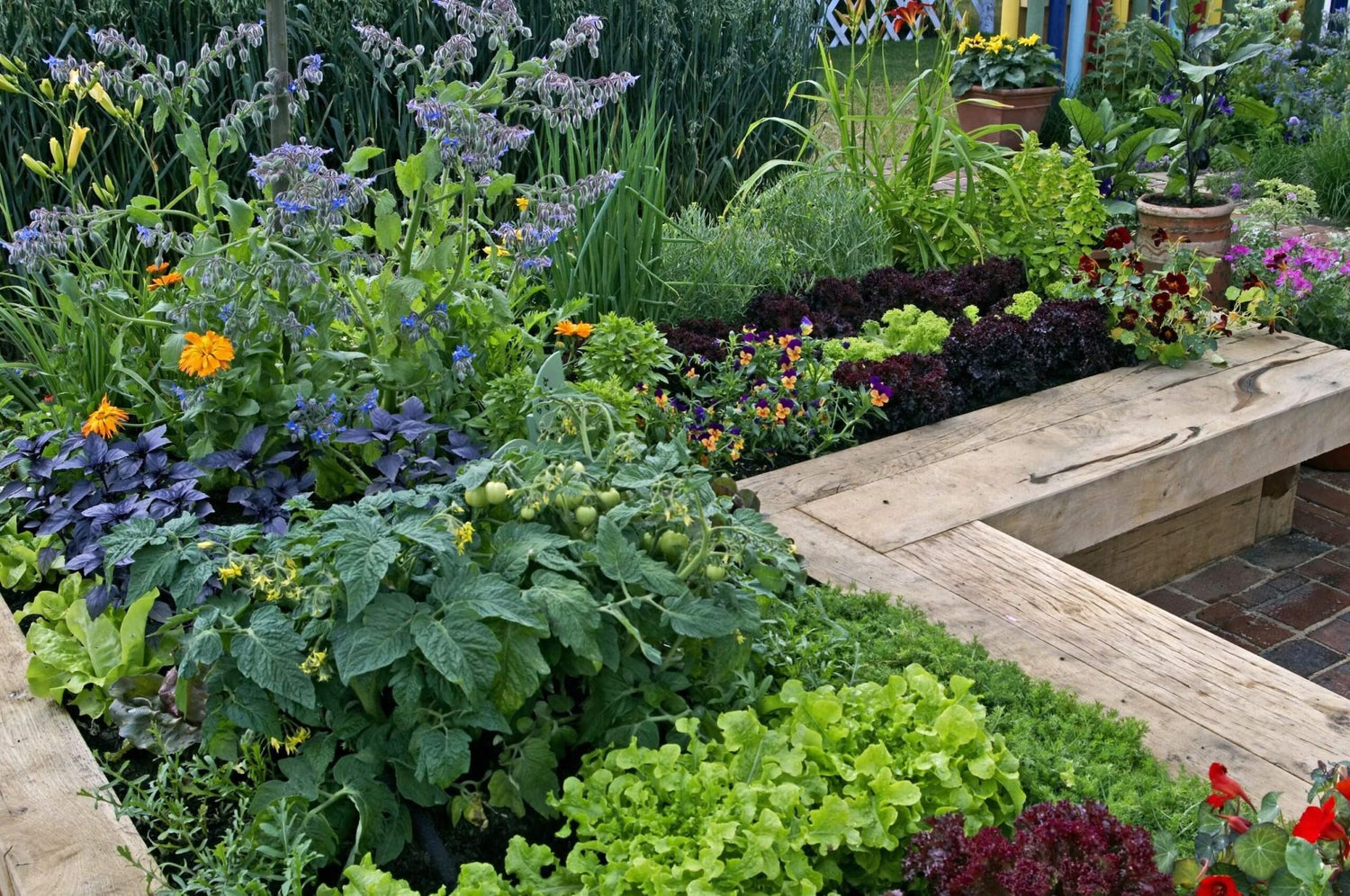 Bed & Border Planting Mixes - Gardenscapedirect