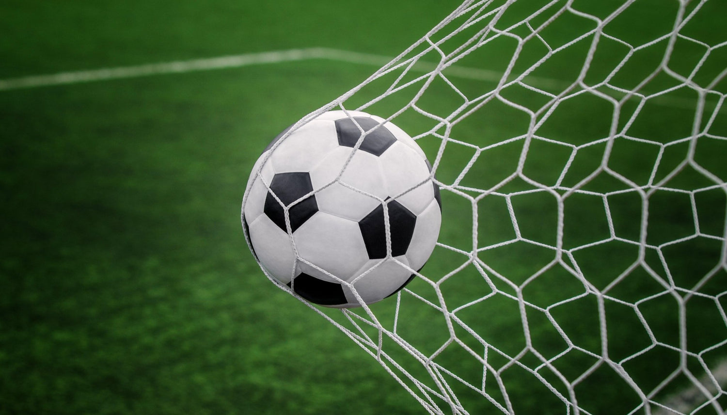 Football & Rugby - Gardenscapedirect