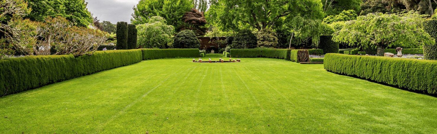 Lawn Top Dressings - Gardenscapedirect