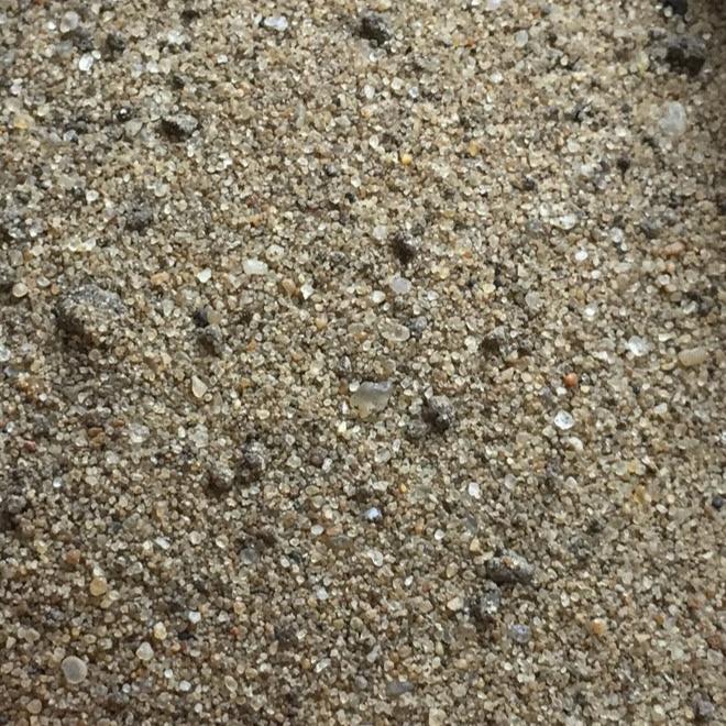 Fine Turf Dressing - Gardenscapedirect