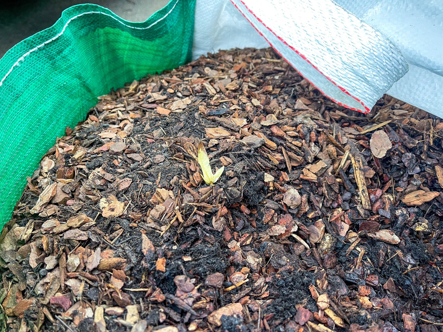 Chipped Bark 8-16mm | Gardenscapedirect