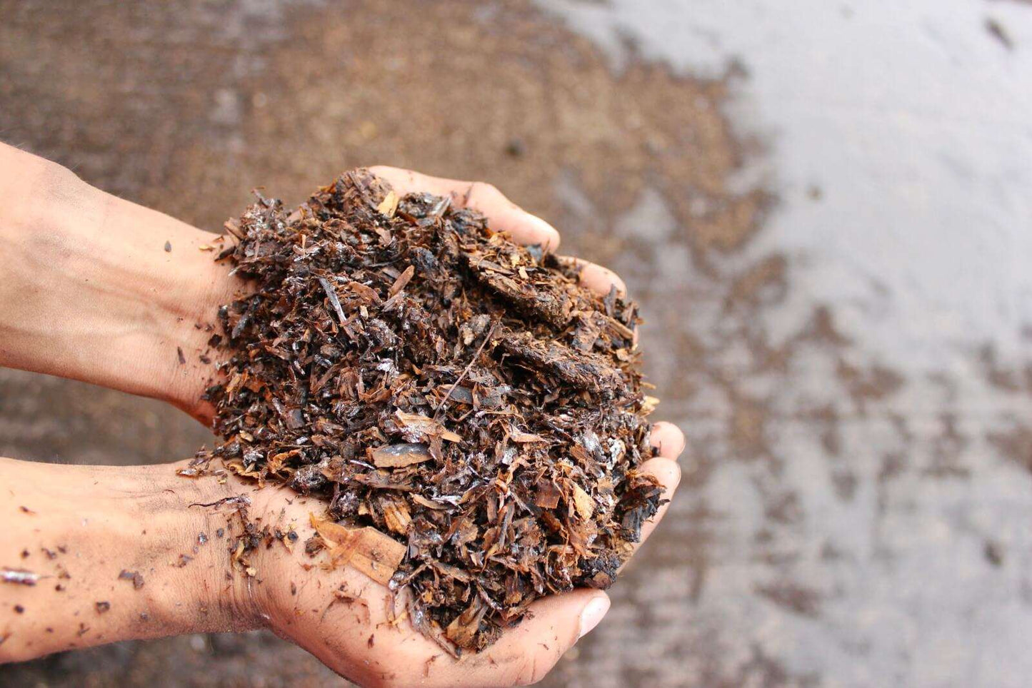 Farmyard Manure - 1