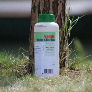 gallup herbicide Gallup Home & Garden 1L