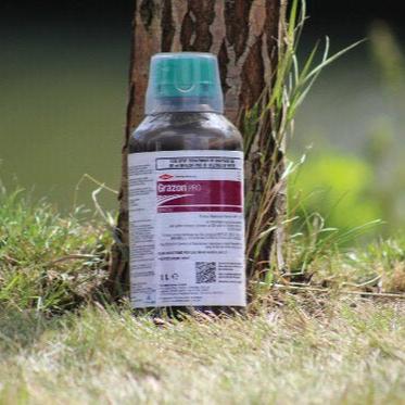 grazon pro herbicide Grazon Pro weedkiller