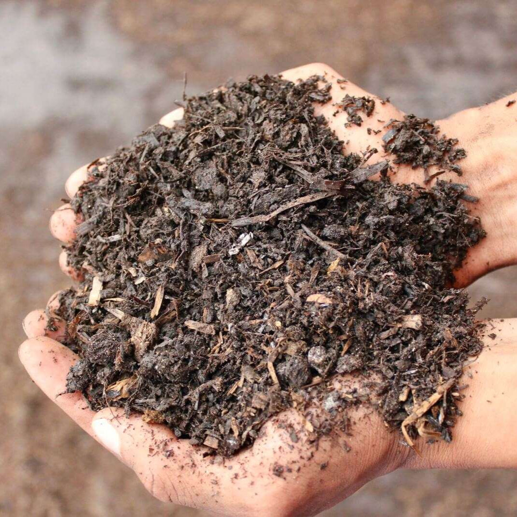 mushroom compost - 1