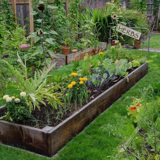 Raised bed kits (with growing media) | Gardenscapedirect