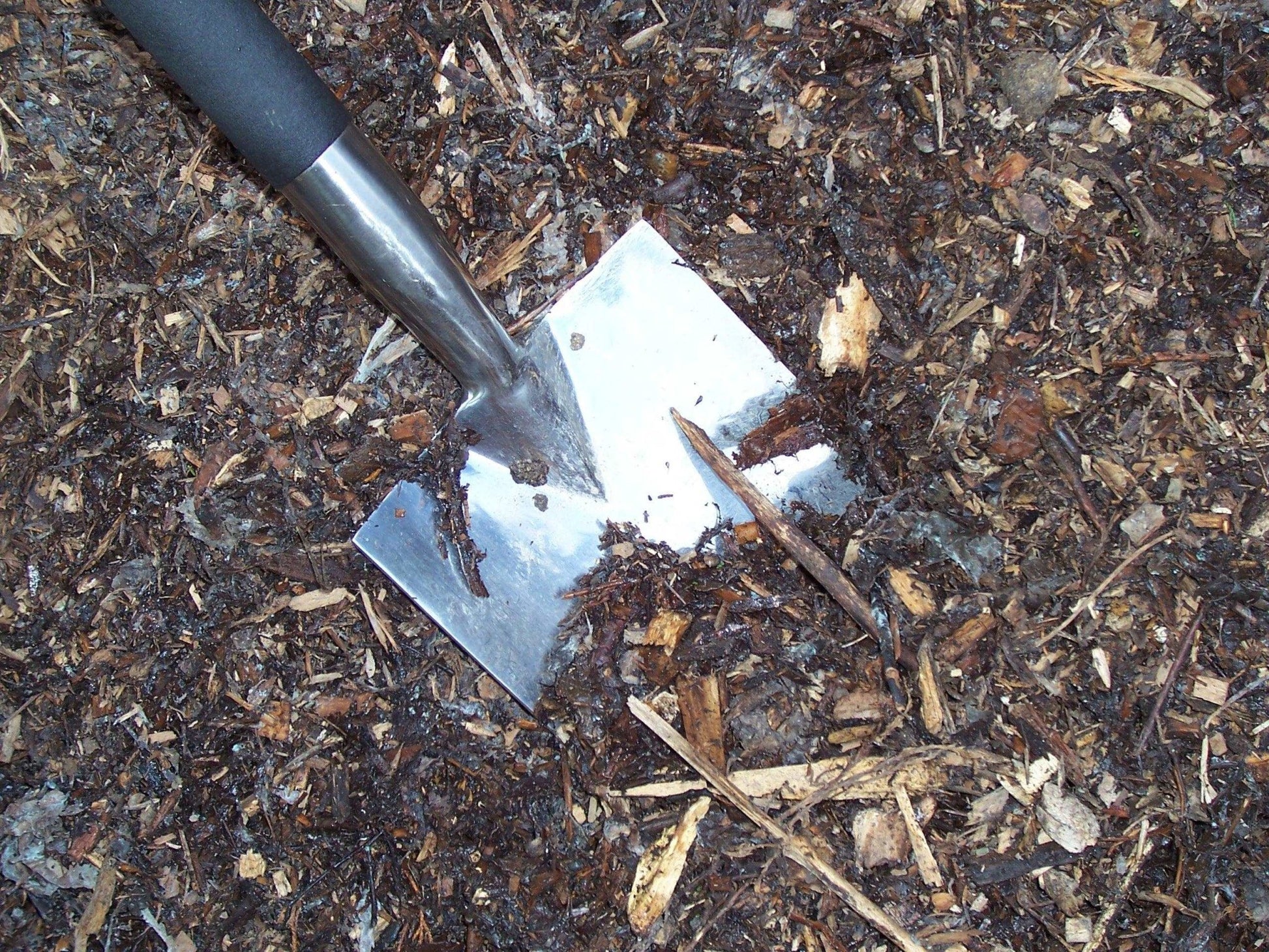 woodland mulch - 1