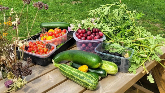 Summer is here! Make the most of the sun with June's Gardening Tips