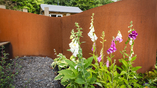 Your July Garden: Watering, Growing and Harvesting