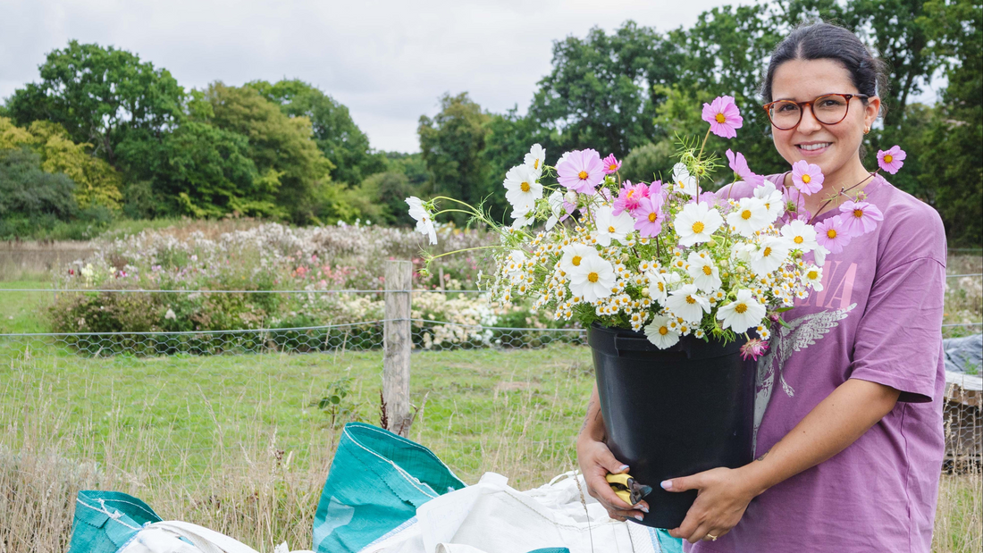 Chesney - Red House Farm Flowers - Gardenscapedirect