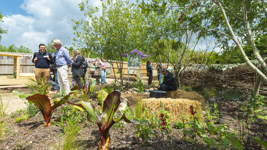 Friends of Ore Station