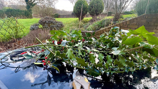 December Gardening Tips for the Festive Season - Gardenscapedirect