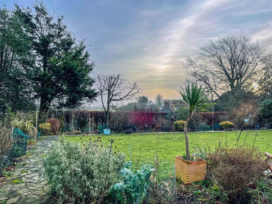 From Autumn to Winter: November in the Garden - Gardenscapedirect