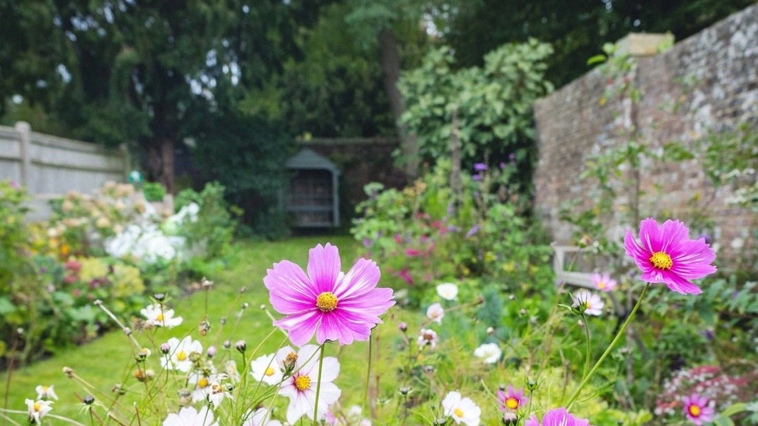 Gardenscape Revisited - Carillon Cottage - Gardenscapedirect