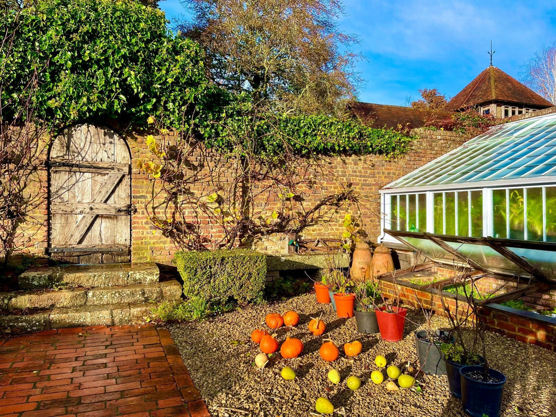 Get ready for the chill this October - Gardenscape Tips - Gardenscapedirect