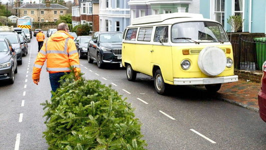 Hospice in the Weald Christmas Tree Collection - Gardenscapedirect