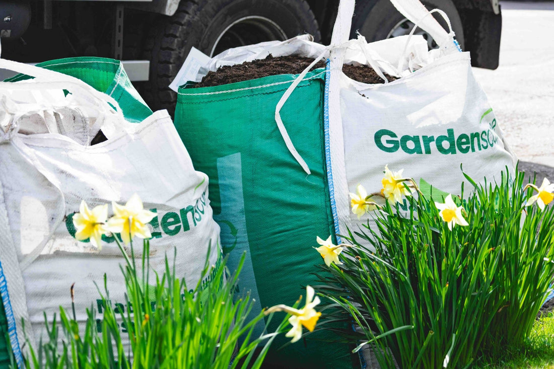 March Garden Checklist: Bulbs, Lawns, and Early Crops - Gardenscapedirect
