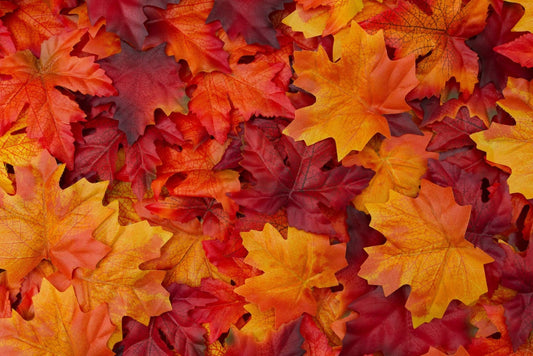 November Blog - Harvesting - Maintenance & Supporting Wildlife. - Gardenscapedirect