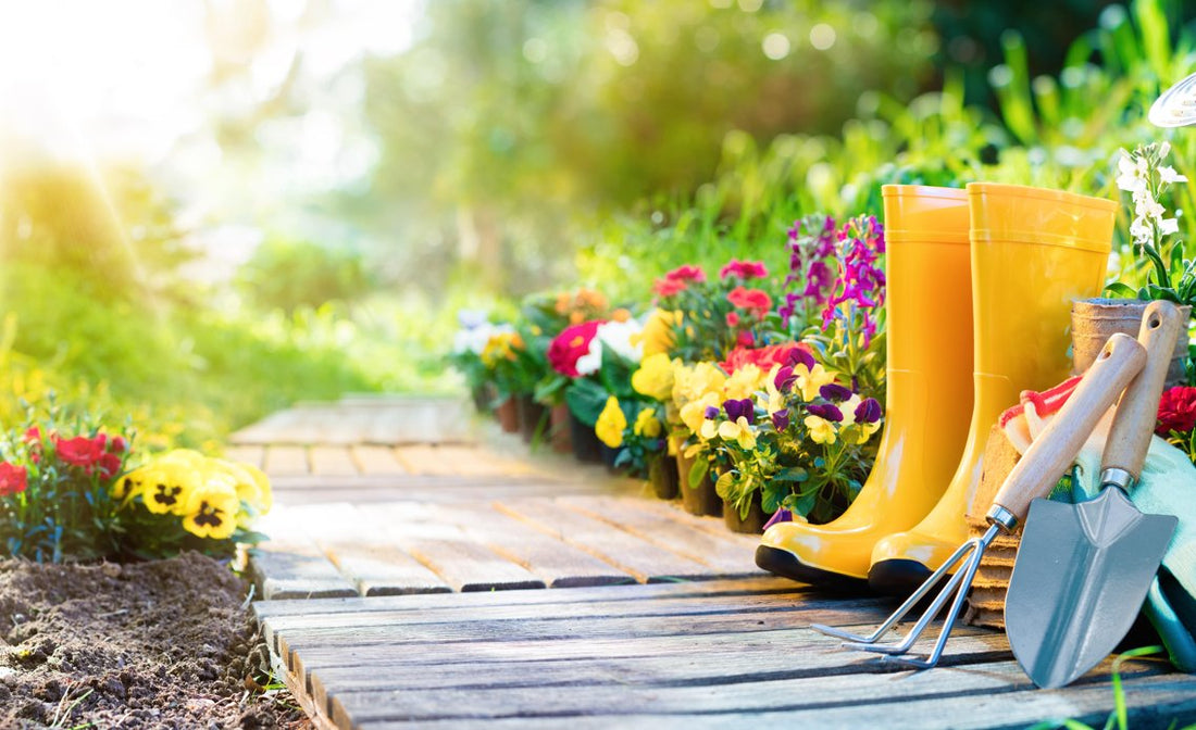 Spring is just on the doorstep - Gardenscapedirect