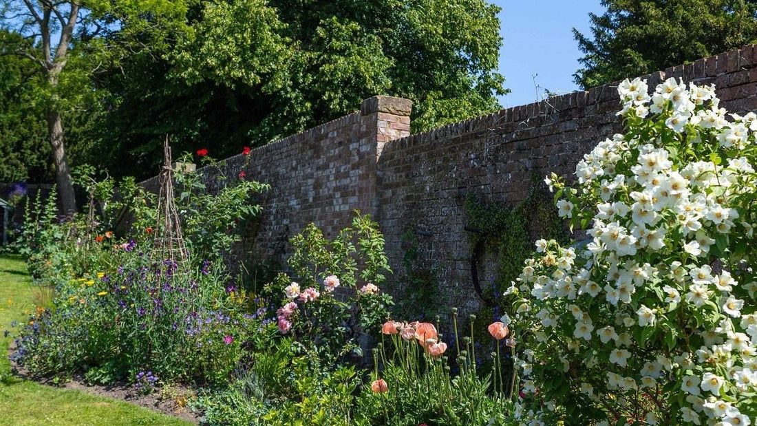 Transforming a Community Garden at Carillon Cottage - Gardenscapedirect