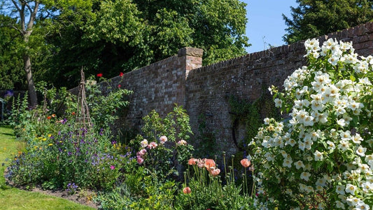 Transforming a Community Garden at Carillon Cottage - Gardenscapedirect