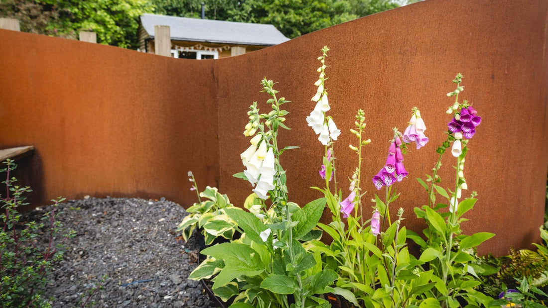 Your July Garden: Watering, Growing and Harvesting - Gardenscapedirect
