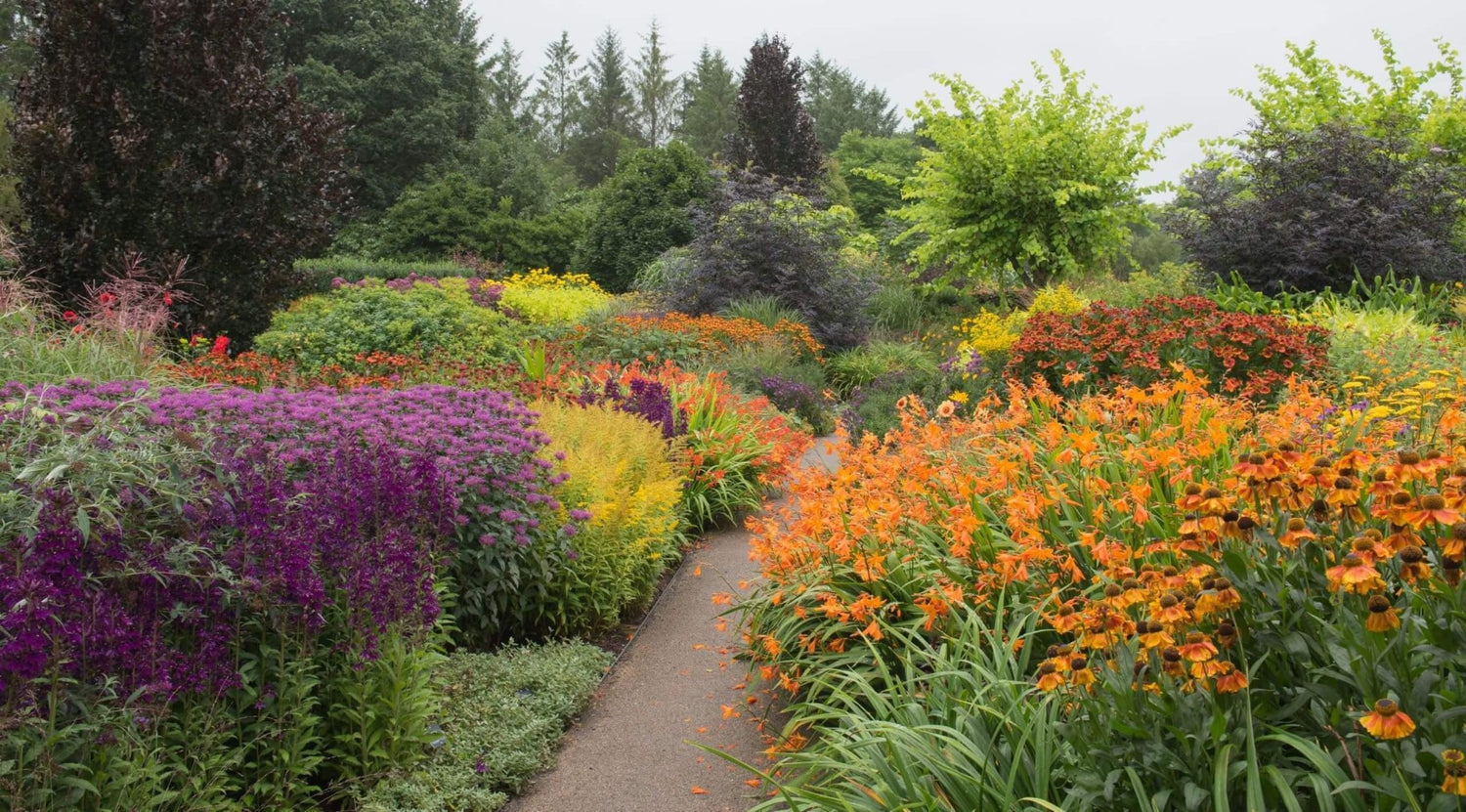 Flower/Shrub Mixes - Gardenscapedirect