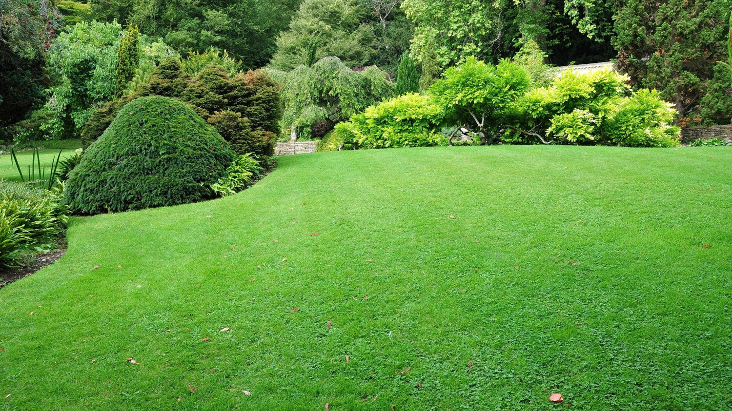 Lawn Care - Gardenscapedirect