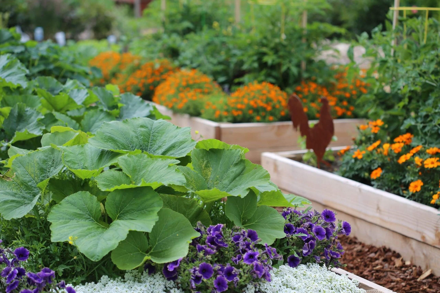 Raised beds - Gardenscapedirect