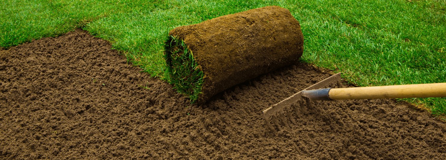 Turf - Gardenscapedirect