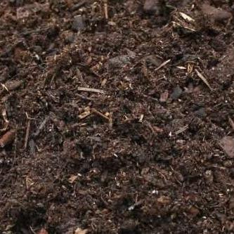 Ericaceous Compost