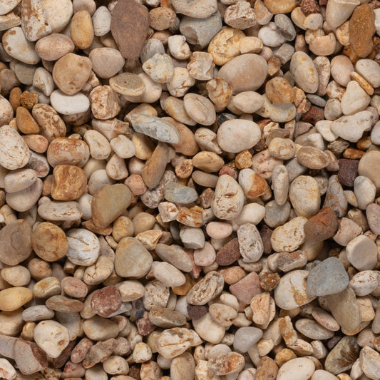 Apricot 14-22mm - Gardenscapedirect