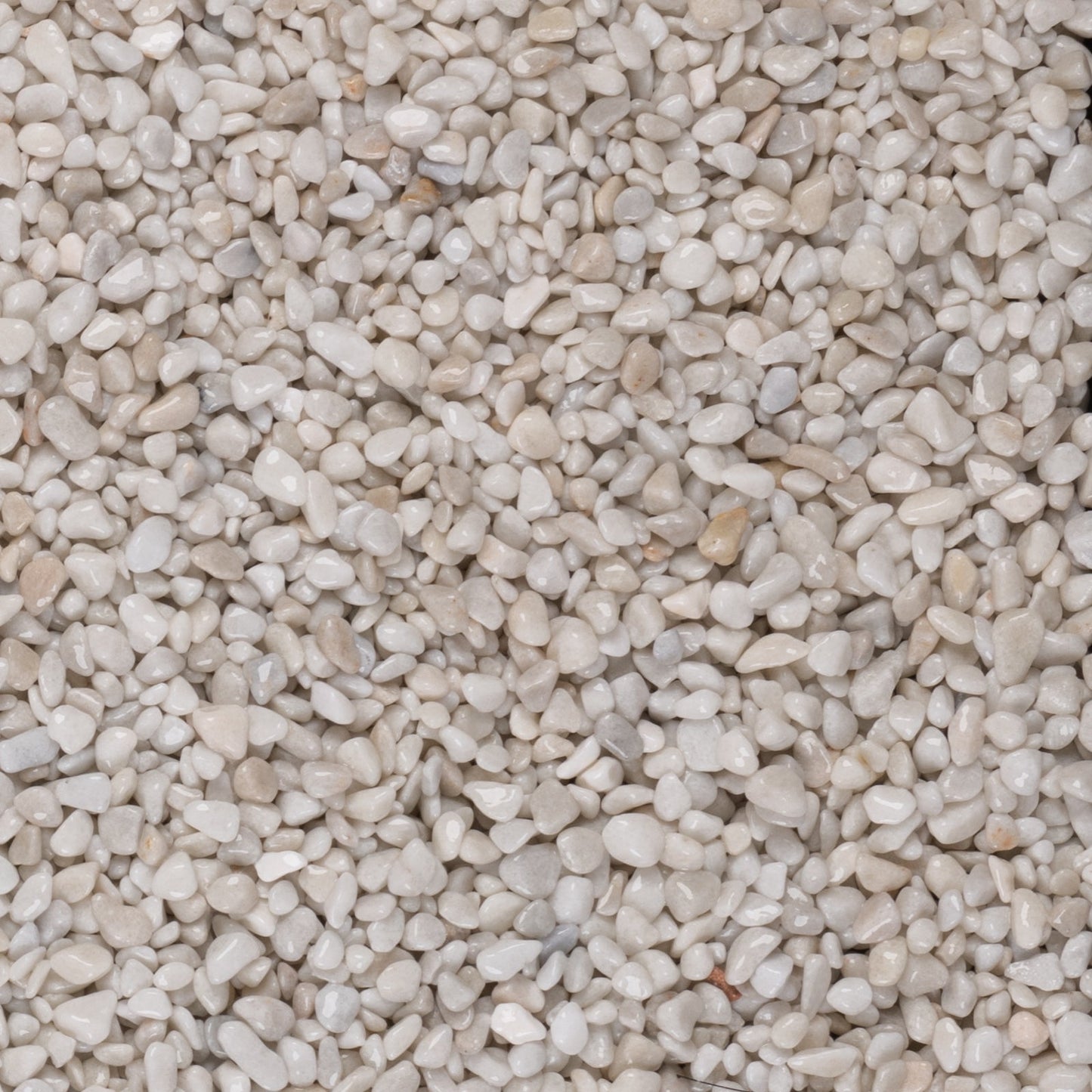 Artico White Marble Chippings  8-10mm - Gardenscapedirect