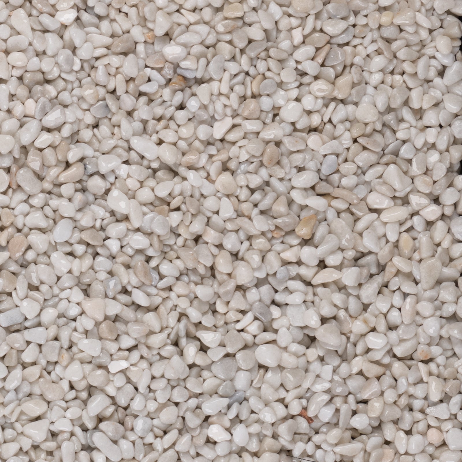 Artico White Marble Chippings  8-10mm - Gardenscapedirect