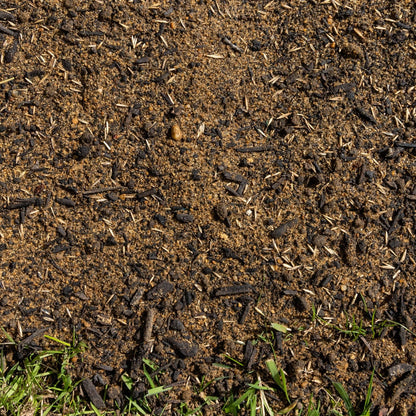 Barenbrug E1 Lawn & Landscapes Grass Seed - Gardenscapedirect