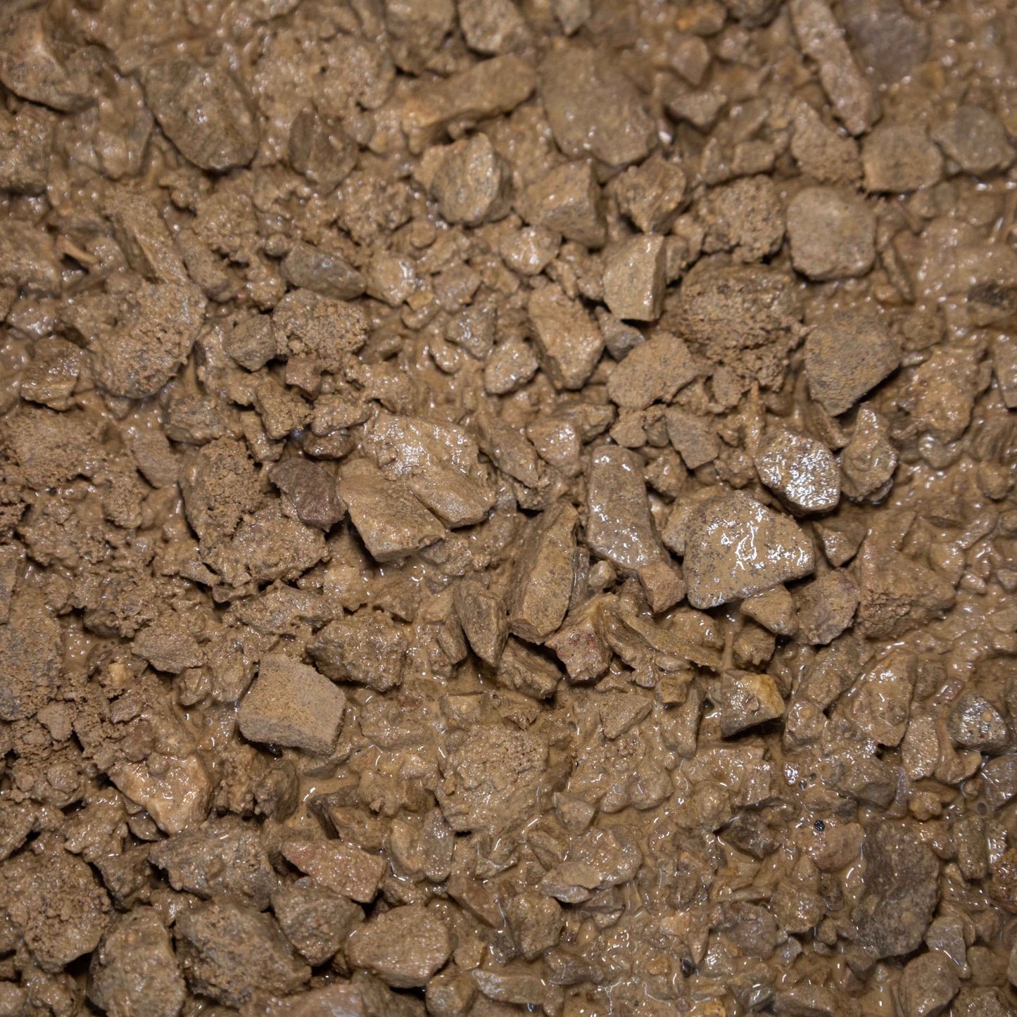 Breedon Self Binding Gravel - Gardenscapedirect