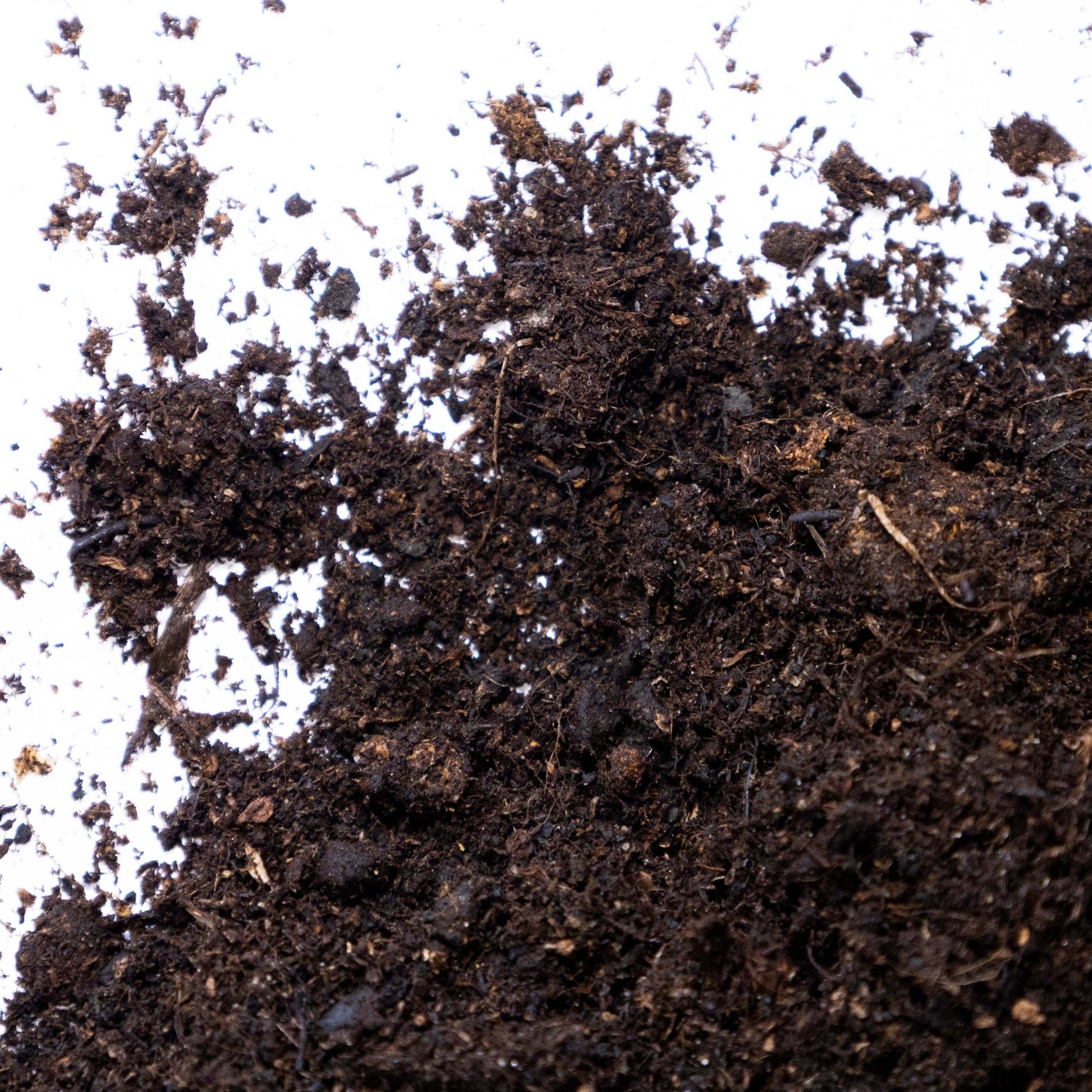 Coarse Sphagnum Peat 12 - 25mm - Gardenscapedirect