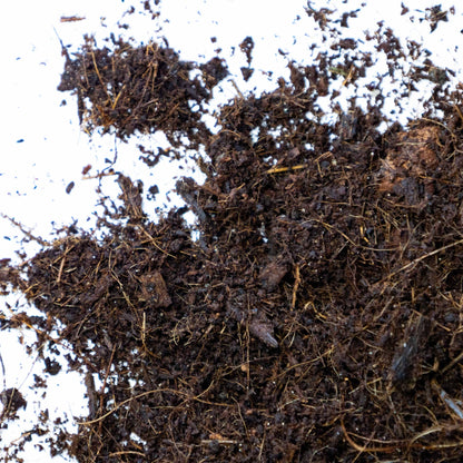 Coir Substrate - Gardenscapedirect