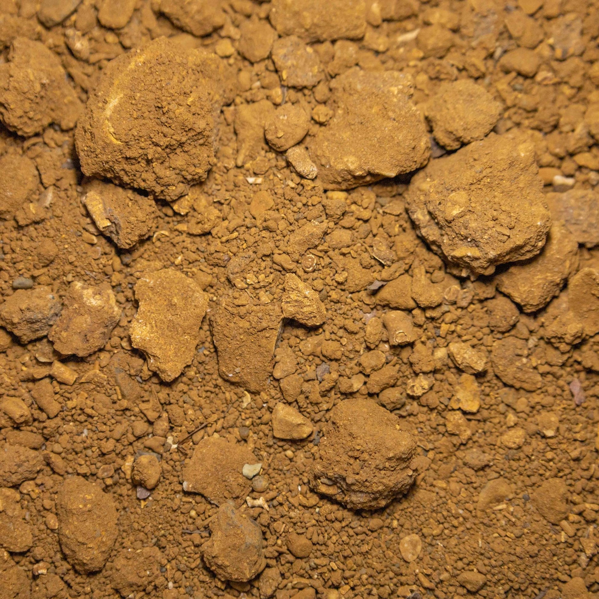 Coxwell Self Binding Gravel - Gardenscapedirect