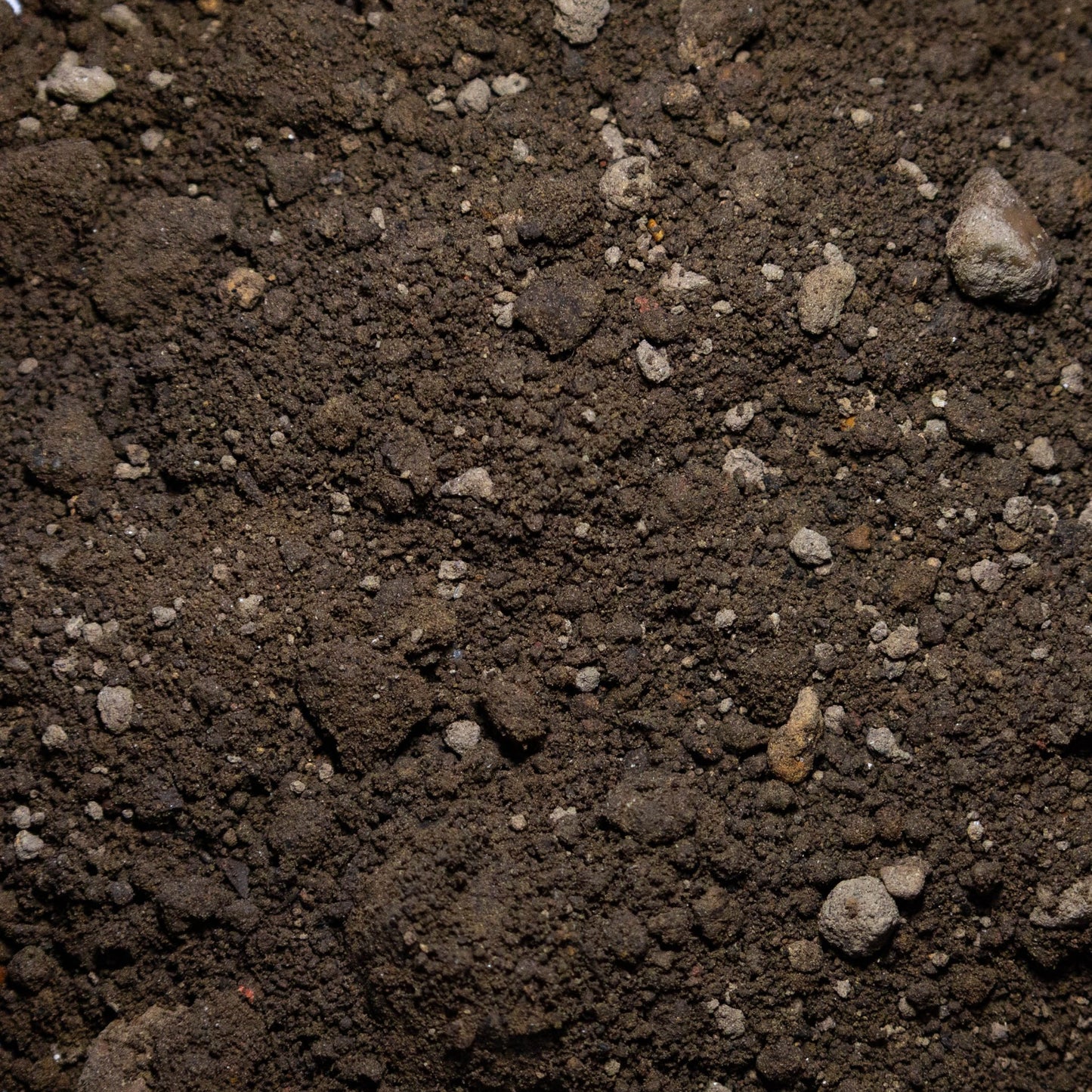 Economy Soil - Gardenscapedirect