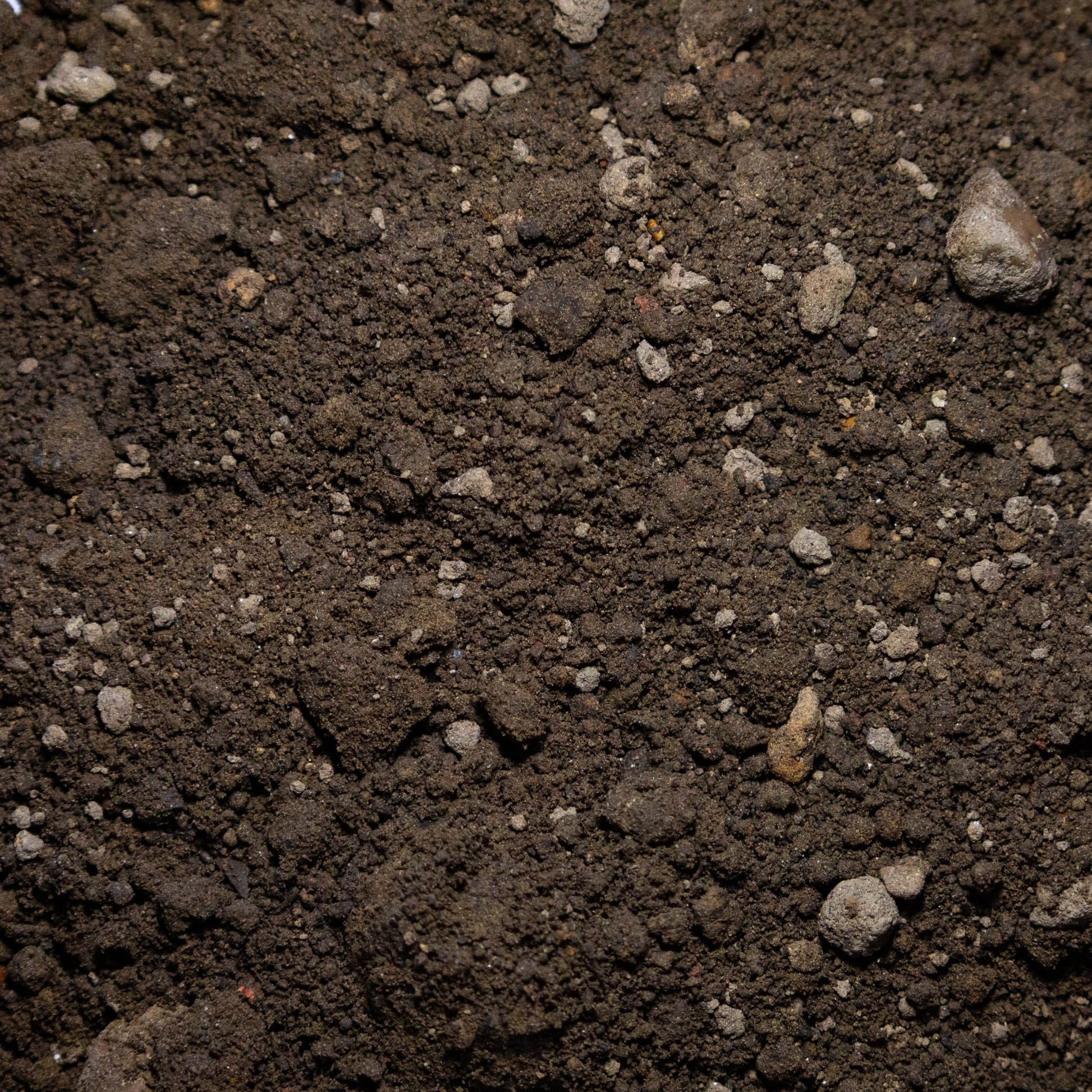 Economy Soil - Gardenscapedirect