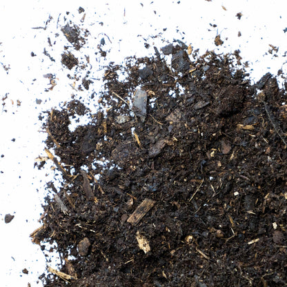 Ericaceous Compost - Gardenscapedirect