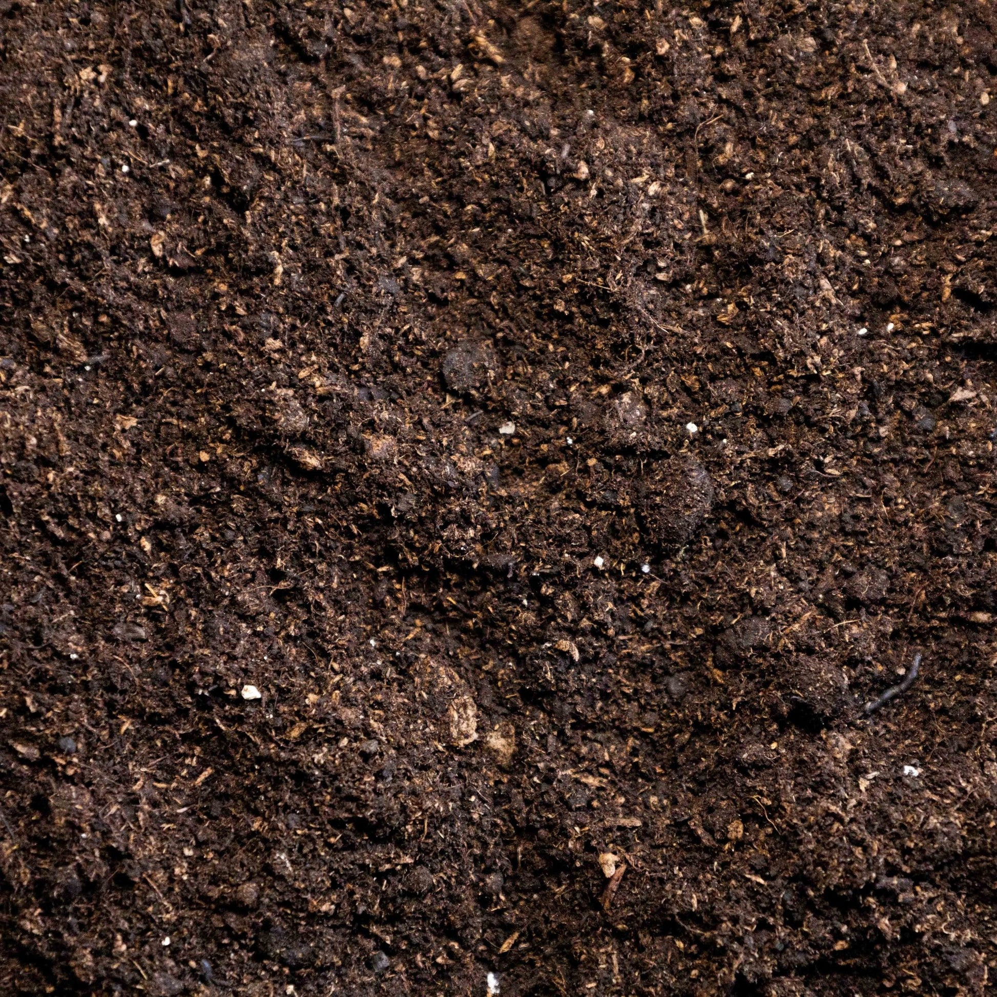 John Innes Enriched Multipurpose Compost - Gardenscapedirect