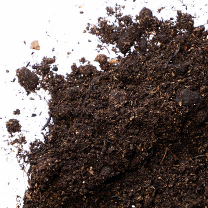 John Innes Enriched Multipurpose Compost - Gardenscapedirect