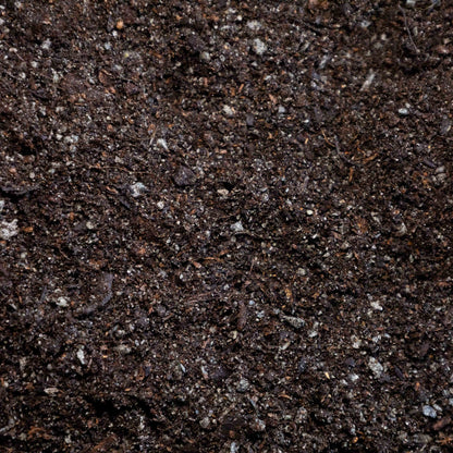 John Innes No 2 - Gardenscapedirect