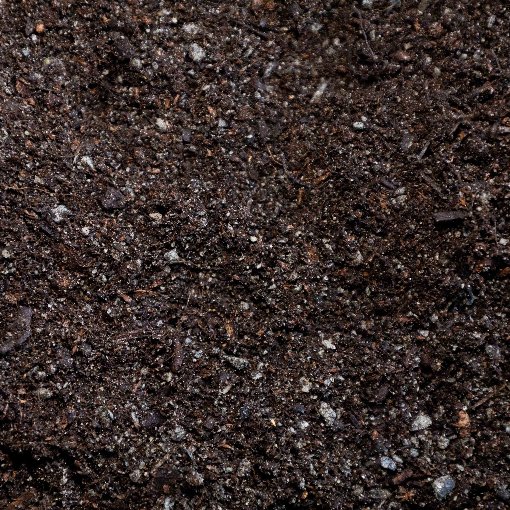 John Innes No 3 Bulk Bag Delivery Kent Surrey Sussex London ...