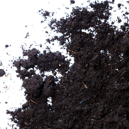 Multipurpose Compost - Gardenscapedirect
