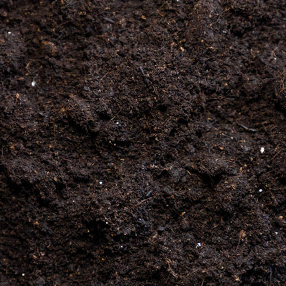 Multipurpose Compost - Gardenscapedirect